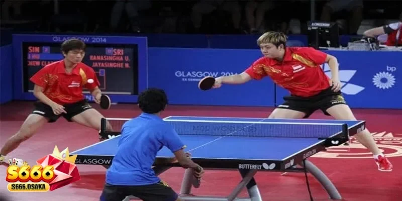 cá cược bóng bàn